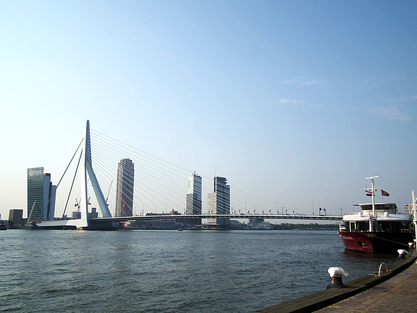 鹿特丹Erasmus Bridge