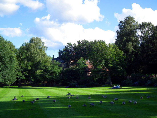 Skansen美景
