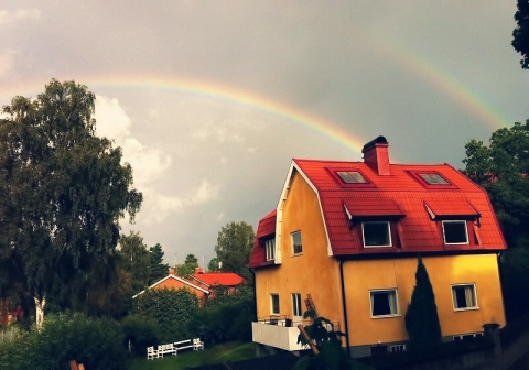 在庭院里看到的双重彩虹