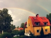 在庭院里看到的双重彩虹
